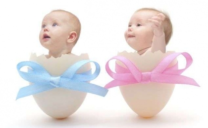 Tüp Bebek Hakkında